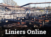 Liniers Online